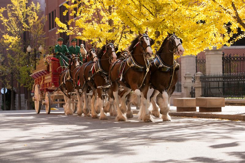 Clydesdale (Missouri)