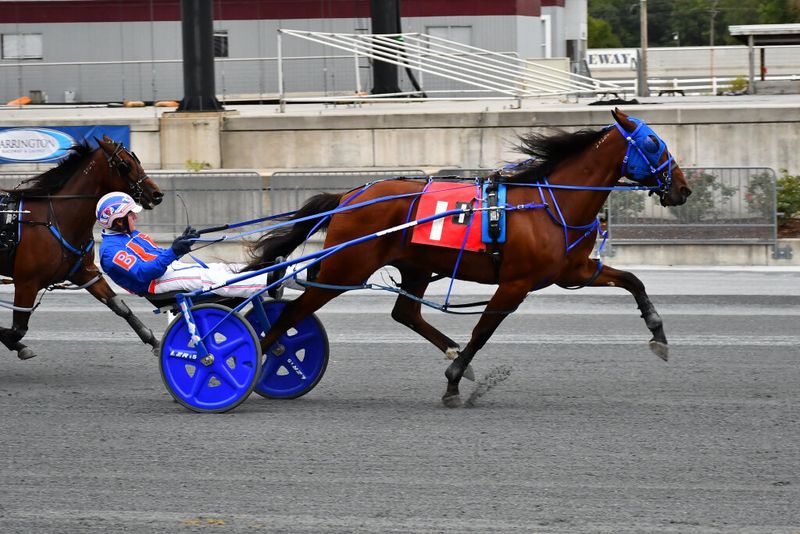 Standardbred (Delaware)