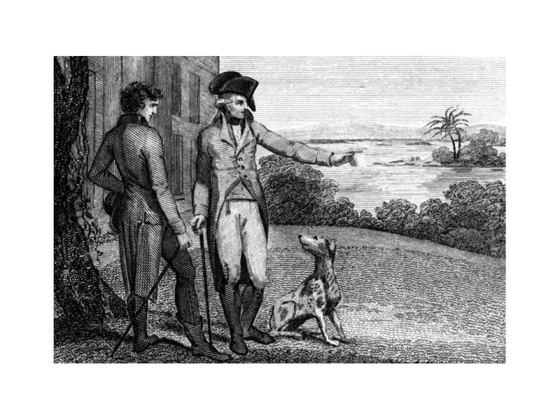 Sweet Spot In History: George Washington's Hounds