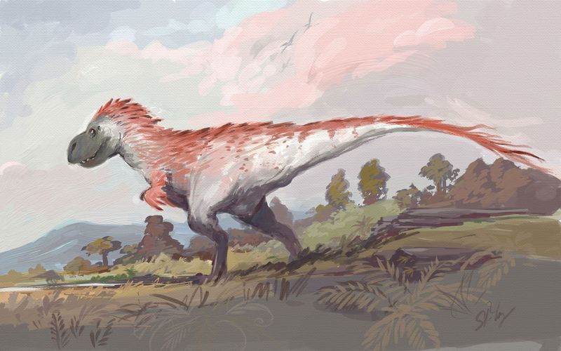 Feathers And Scales