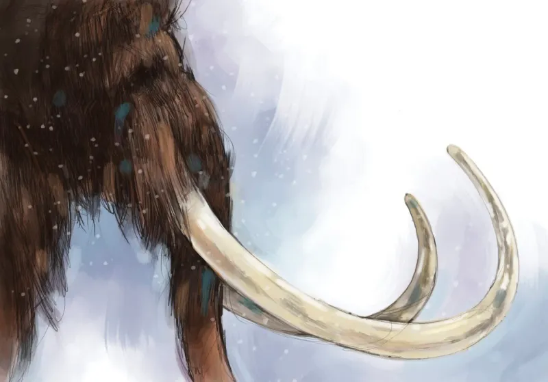 Fossil Analysis Shows Mammoth Adaptability