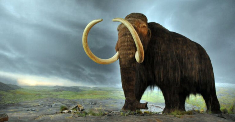 This Ancient Fossil Proves Mammoths Lived Farther South Than Expected
