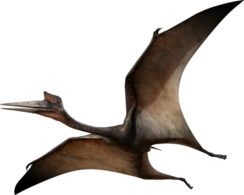 Quetzalcoatlus: The Living Fighter Jet