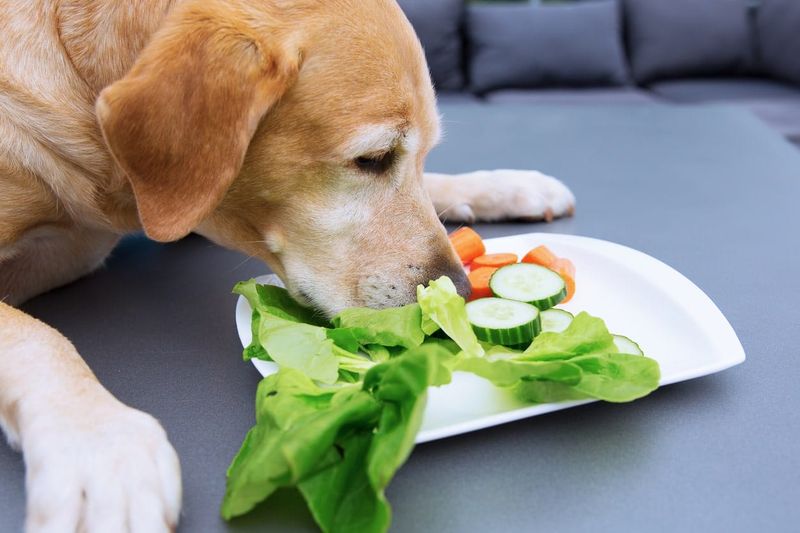 Spinach
