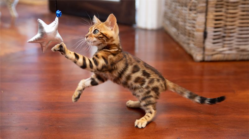 Physical Coordination