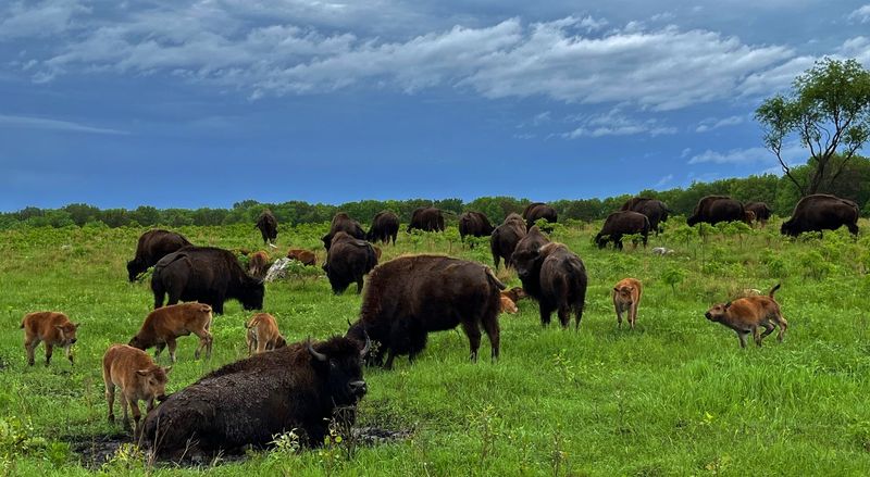 Minnesota's Minneopa State Park Creates Urban Wildlife Connection