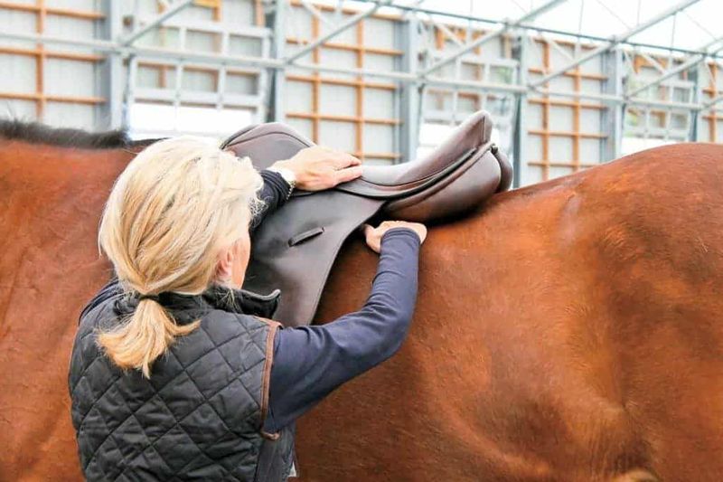 Proper Saddle Fitting Check