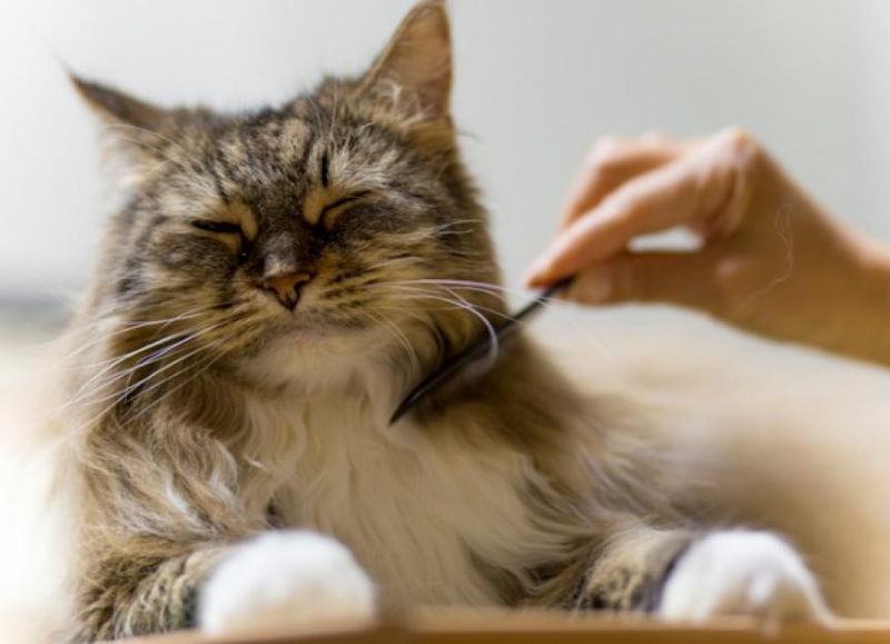 Aromatherapy Relaxation