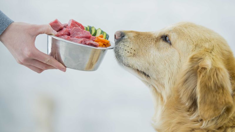 Raw Meat And Fish