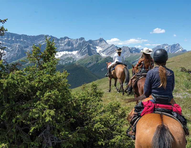 Recognize Your Horse's Capabilities