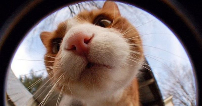 Ignoring Webcam Monitoring