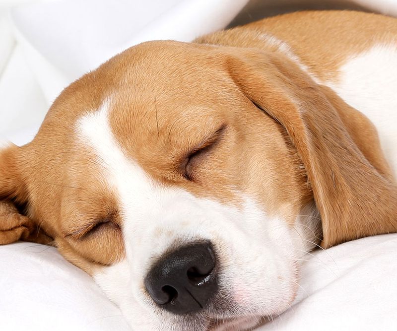 Excessive Sleeping