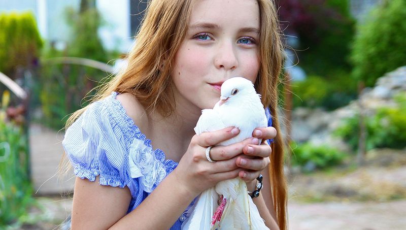 Doves: Peaceful Cooing Companions