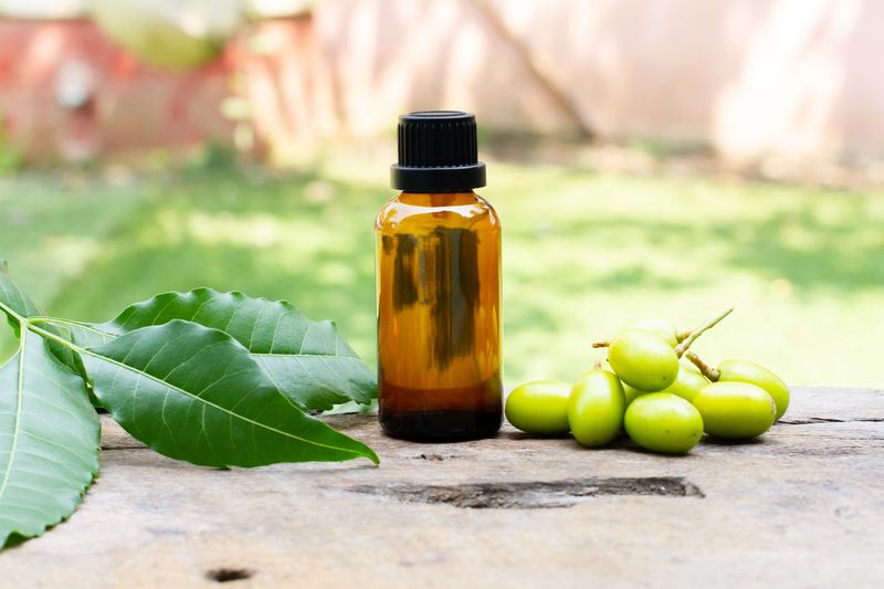 Neem Oil Application