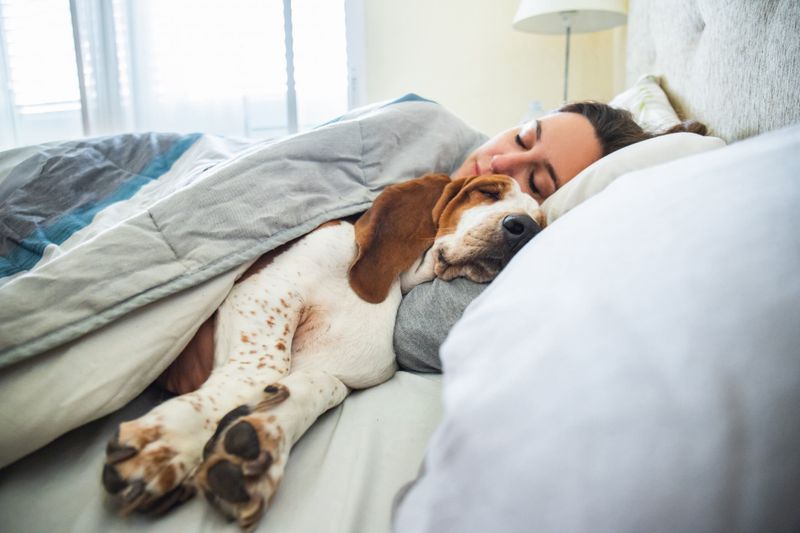 Sleep Quality Enhancers