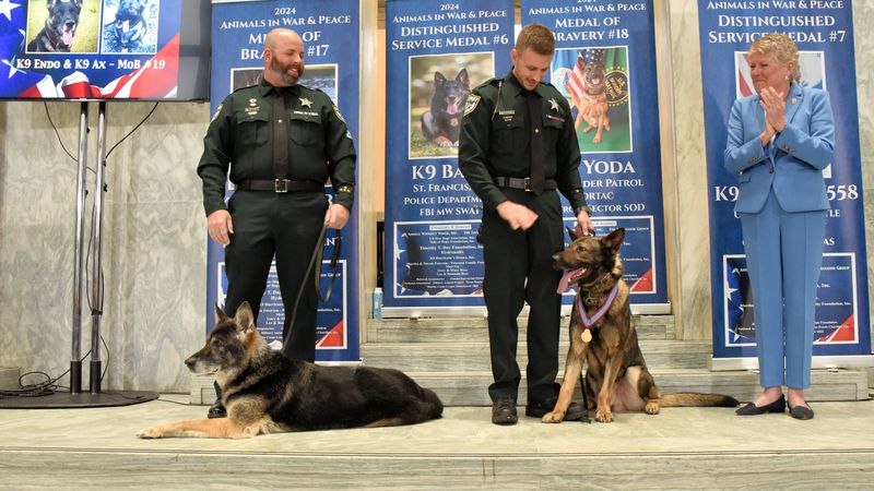 Military Working Dogs Receiving Honors