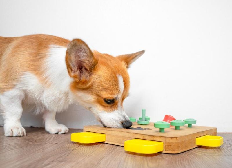 Mental Stimulation Prevents Problems