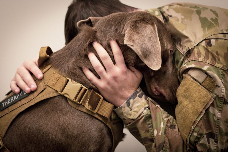Morale And Therapy Providers