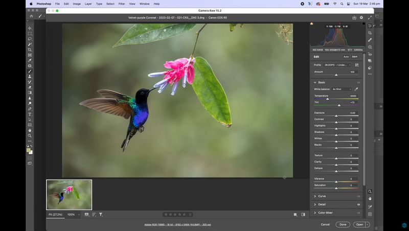 Edit Your Photos With Care