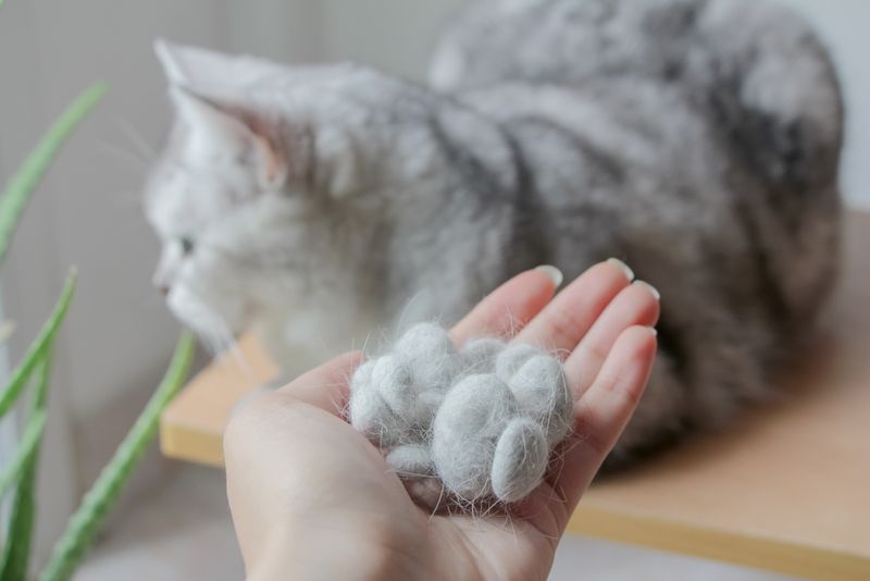 Strategic Hairball Placement