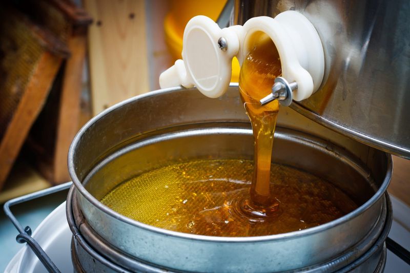 Medicinal Honey Powers