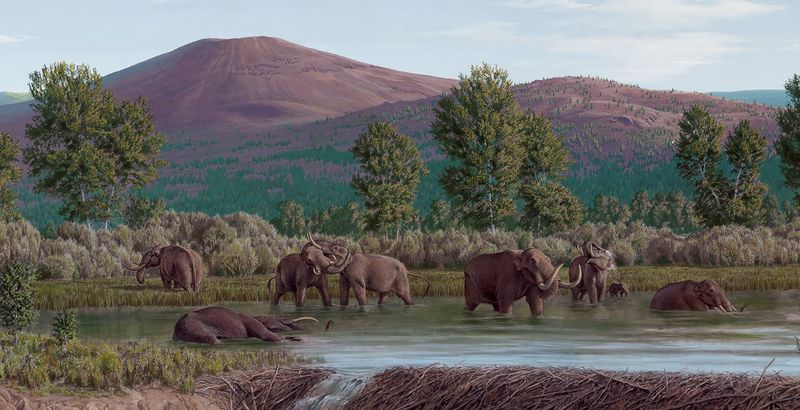 Historical Range Of Elephants In North America
