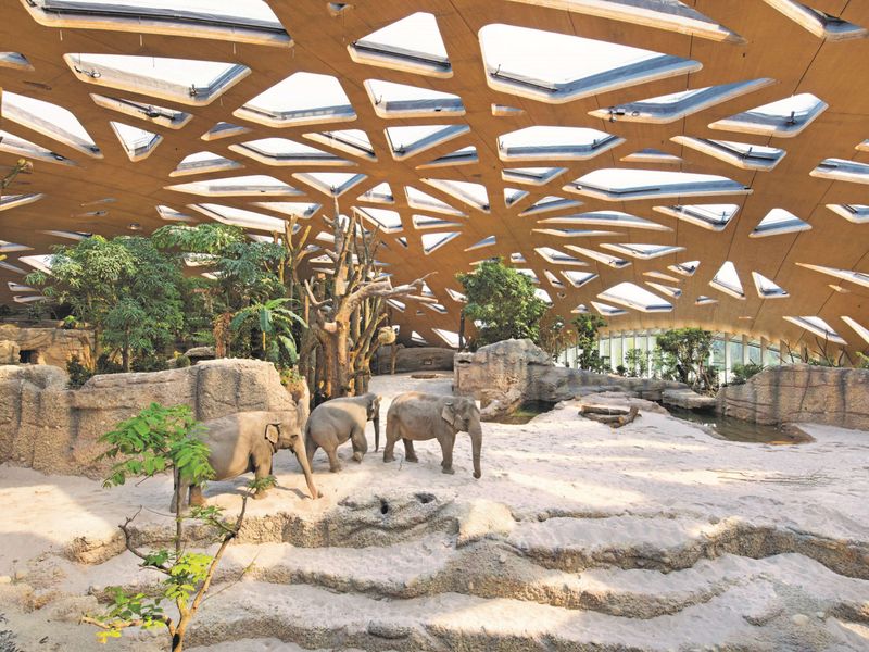 Zoo Zurich
