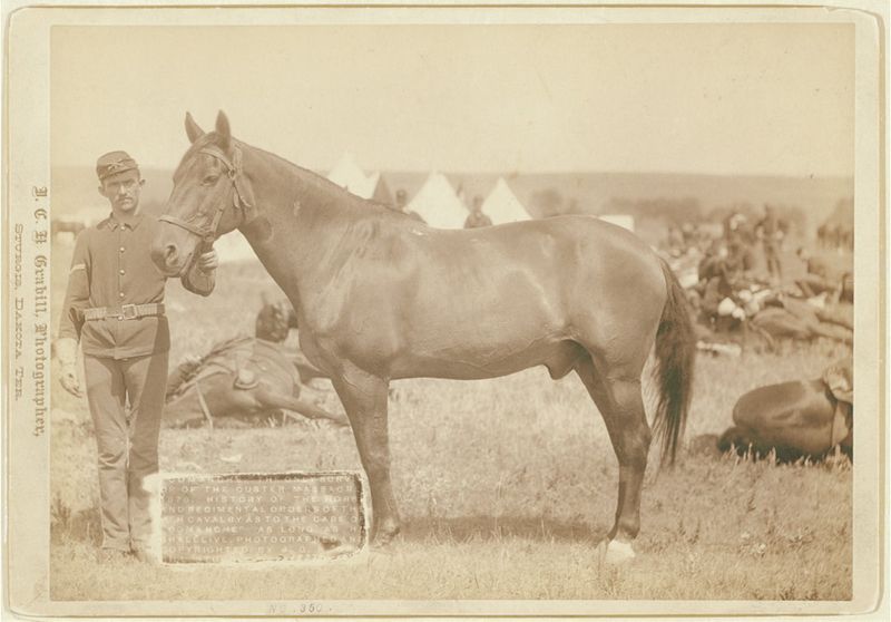 Comanche: The Lone Survivor