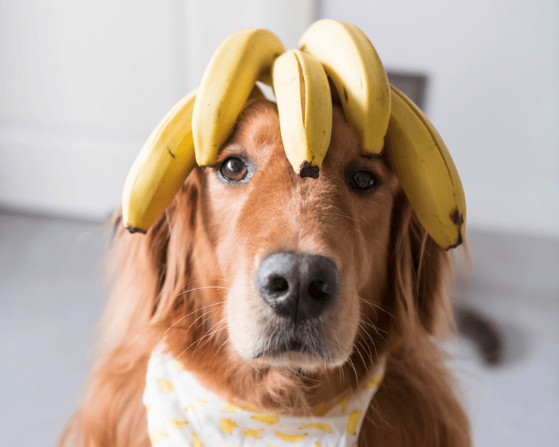 Bananas