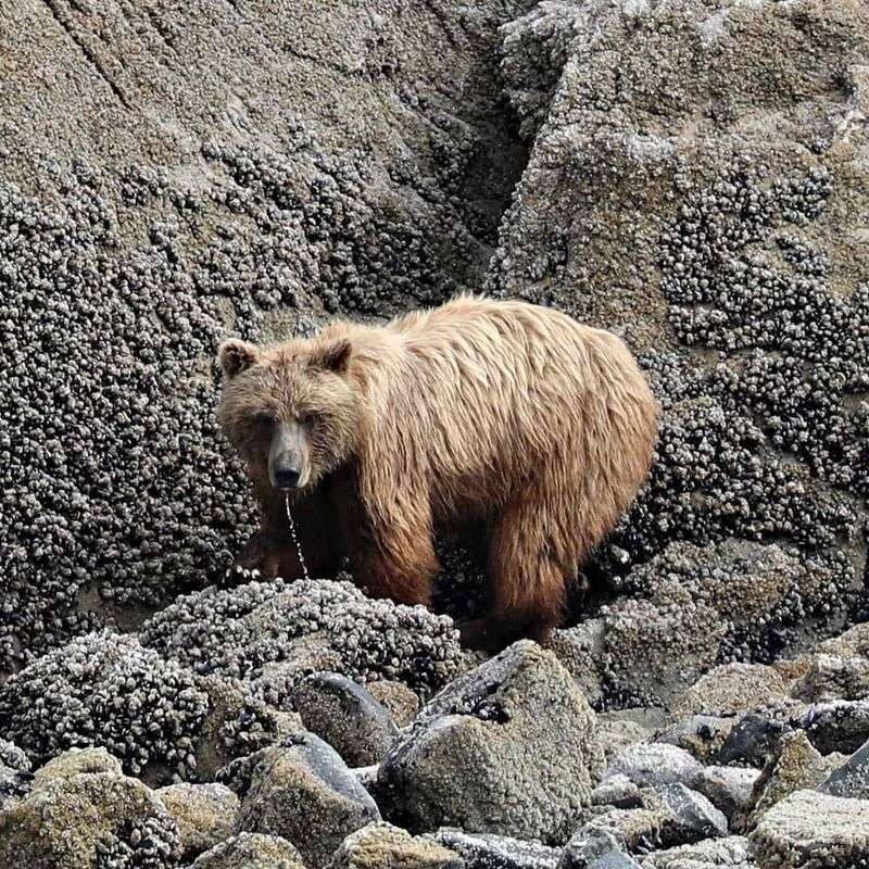 Aniakchak National Monument, Alaska