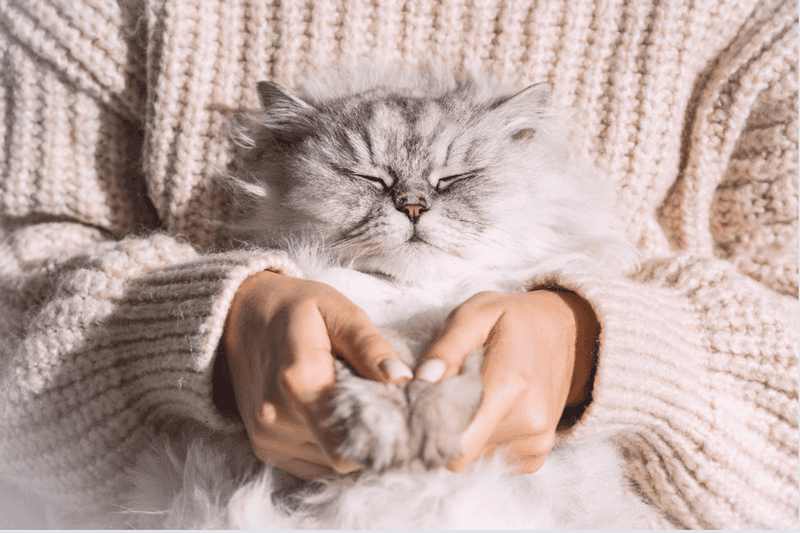Synchronized Sleeping Patterns