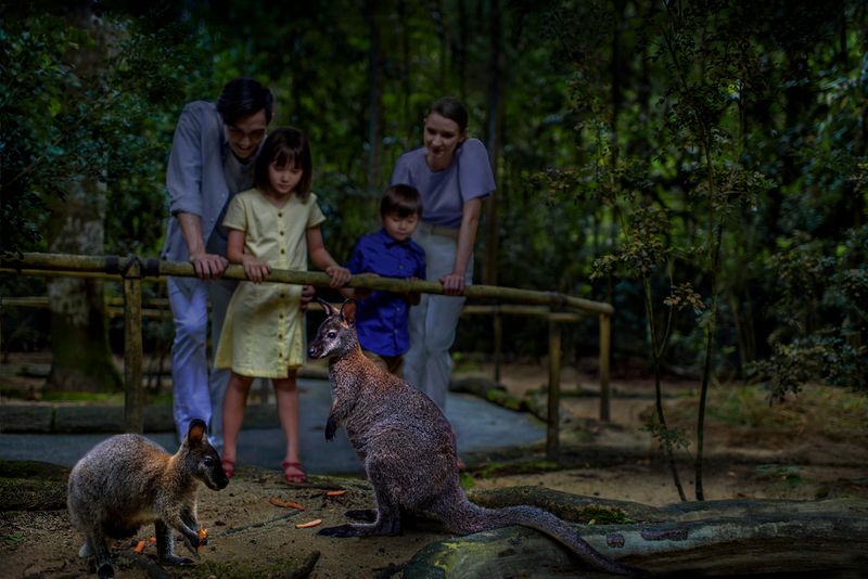 Singapore Zoo