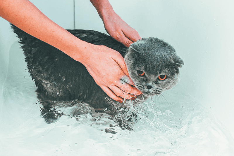 Keep Water Lukewarm