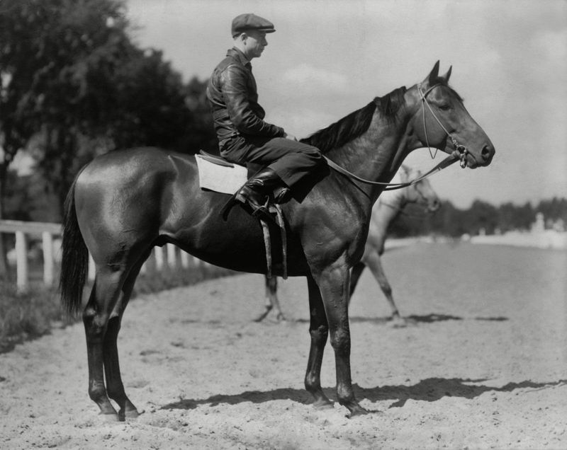 Seabiscuit: The Underdog Champion
