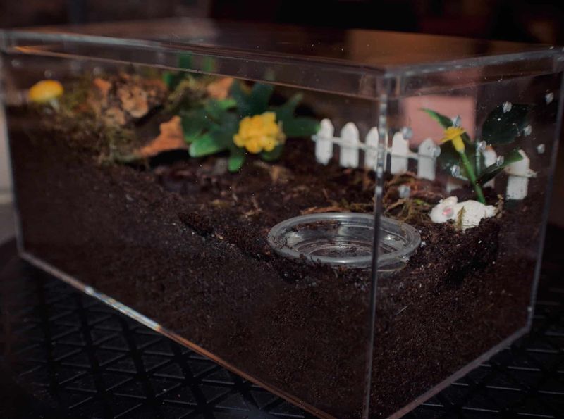Space-Saving Pet Solution