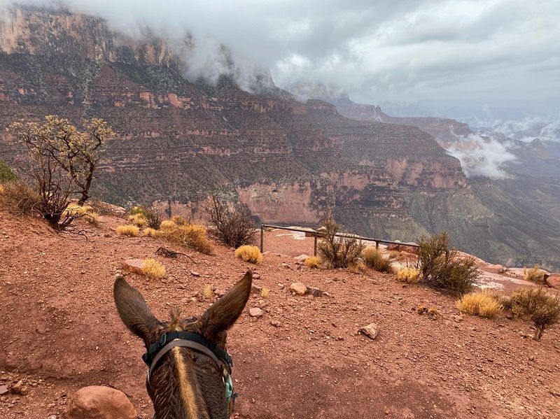 Masters Of Difficult Terrain