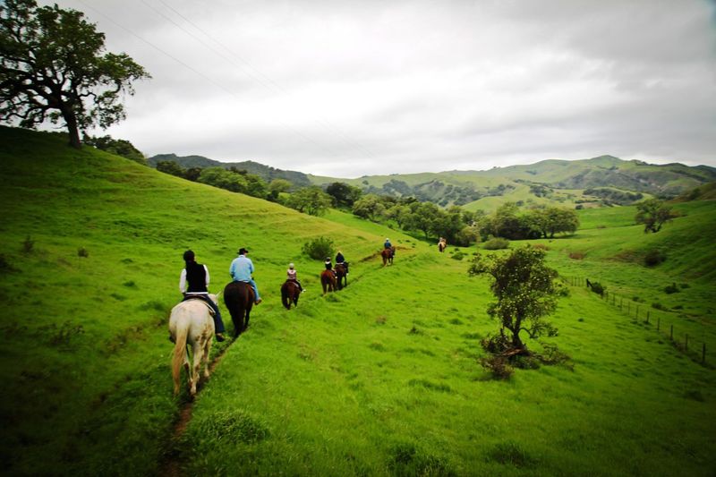 Alisal Guest Ranch – California's Coastal Cowboy Retreat