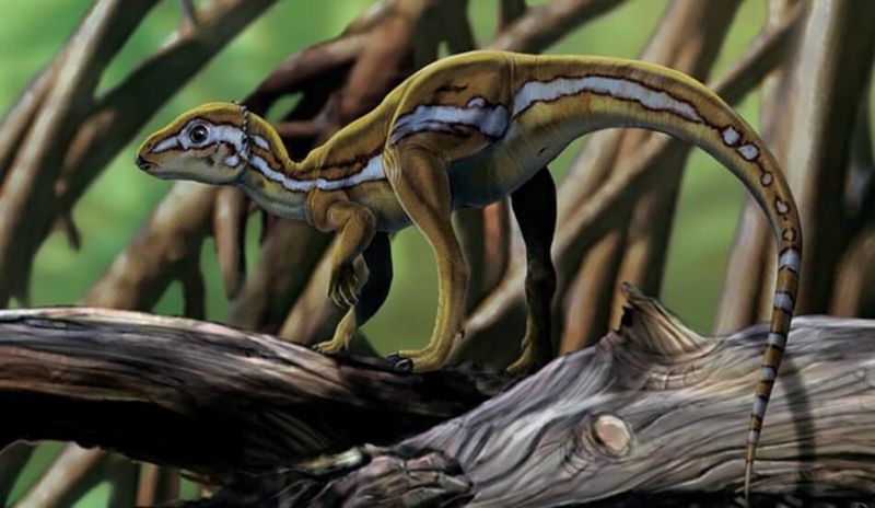 Micropachycephalosaurus: The Tiny Head-Butter