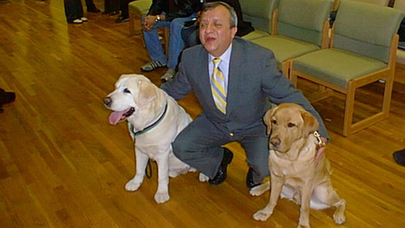Salty And Roselle: The 9/11 Guide Dogs