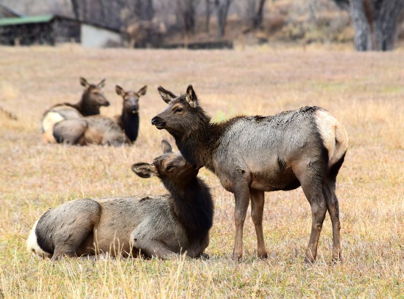 Colorado – Rocky Mountain National Park