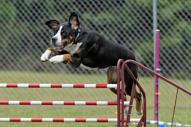 Exposure To Common Obstacles