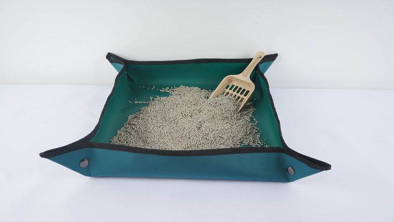 Disposable Litter Box Solution