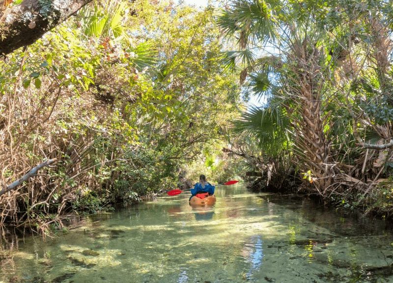 Juniper Springs Run – Crystal Clear Safety