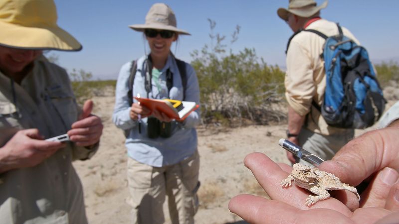 The Role Of Climate Change In Discovering New Species