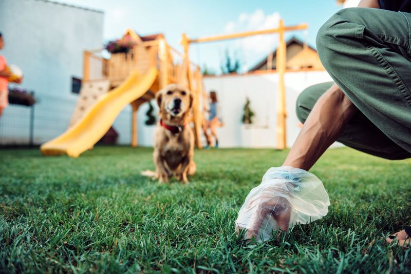 Prevents Proper Yard Use