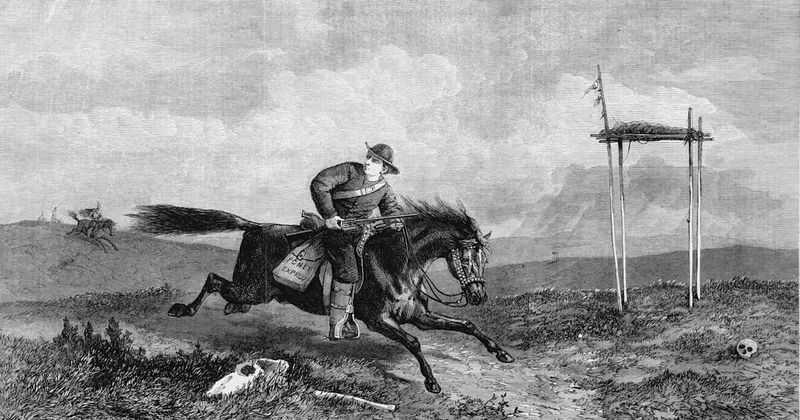 Pony Express Horse