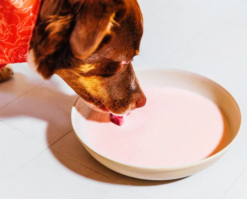 Kefir