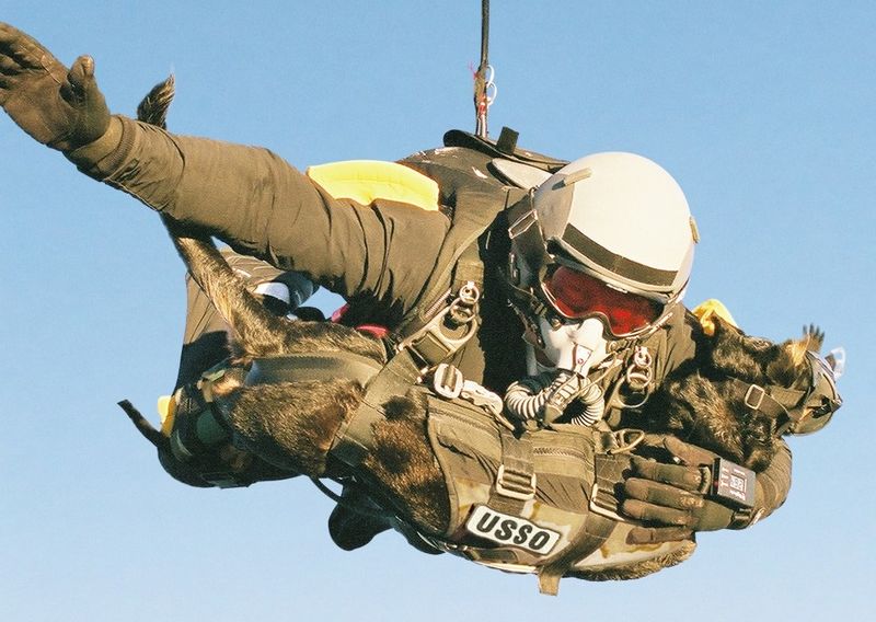 Parachute Jump Partners