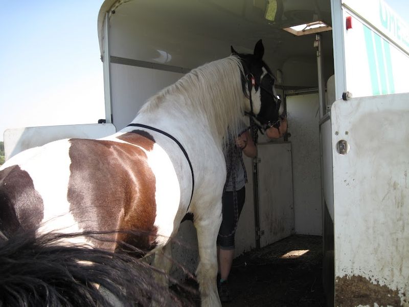 Positive Trailer Experiences Reduce Stress