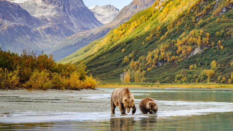 Wrangell-St. Elias Wilderness, Alaska